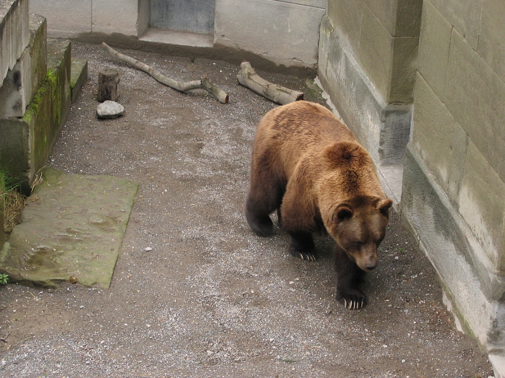 Suisse 30 - Berne.jpg